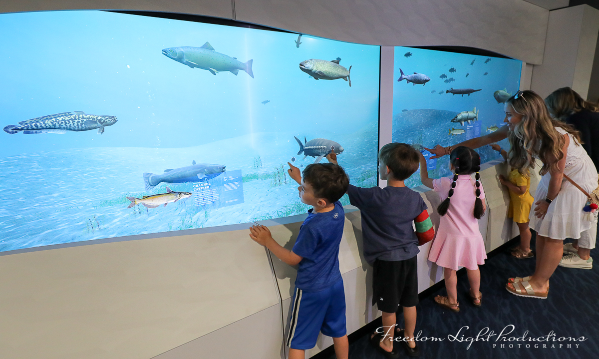 2023_07-25_Door_County_Maritime_Museum_Highlights_233_